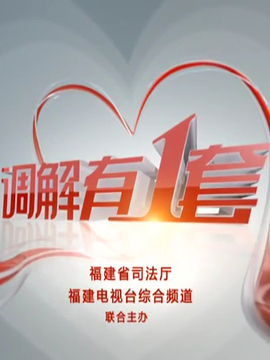 调解有1套